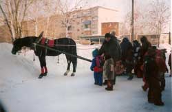 Катание на лошадке 